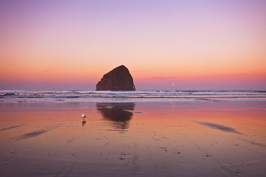Oregon Photograph - A Beautiful Morning by Darren White