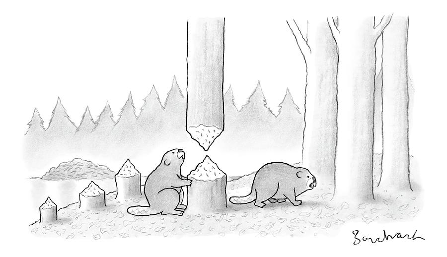A Beaver Chewed Through A Tree Trunk Drawing by David Borchart
