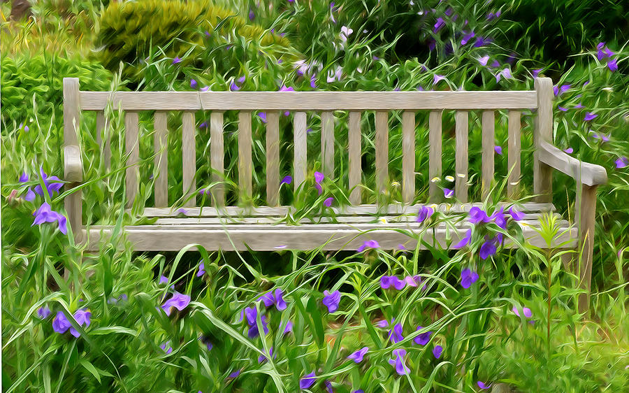 A Bench For The Flowers Photograph by Gary Slawsky
