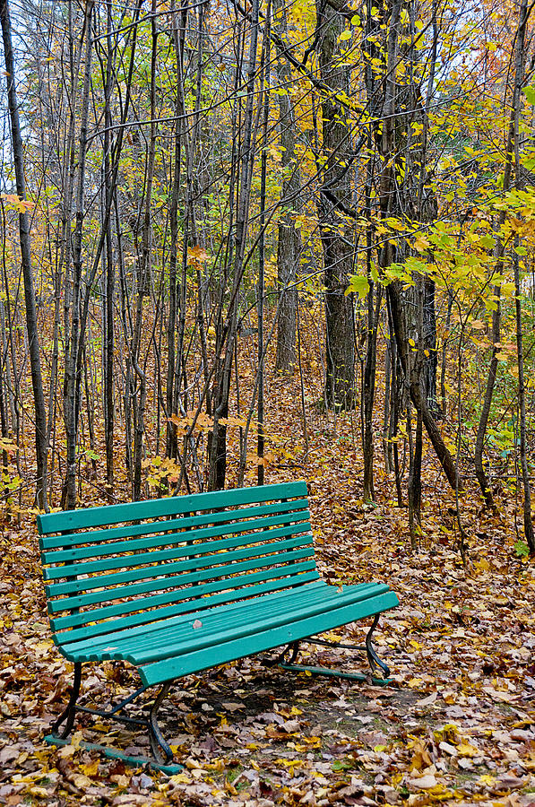 A Bench Nowhere... Photograph by Celso Bressan