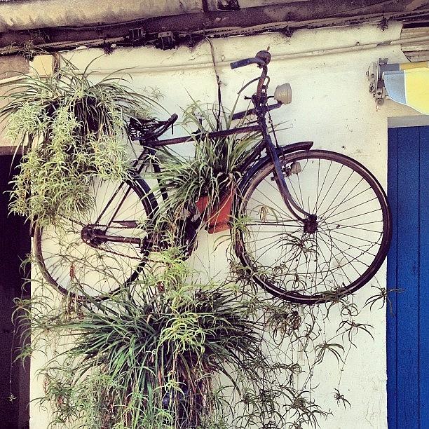 Bike Photograph - A #bike On A Wall. #street #art #palma by Balearic Discovery