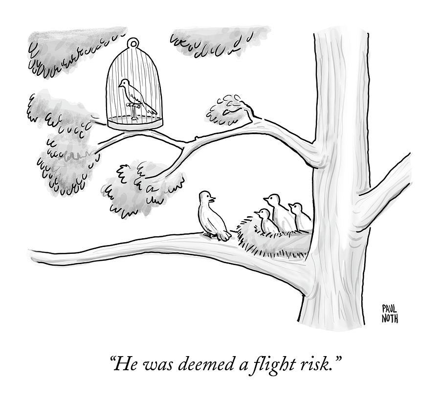 A Bird In A Birdcage Sits On A Tree Branch Drawing by Paul Noth