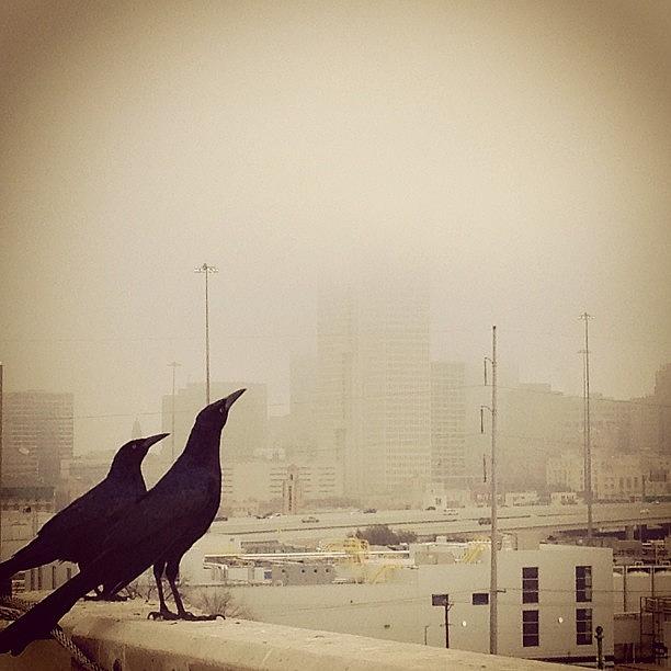 A Birds Eye View Of A Foggy Fort Photograph by Courtney Mullins