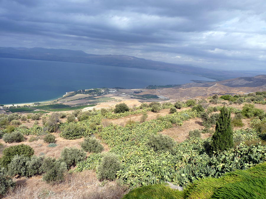 Landscape Photograph - A Birds Eye View of the Galilee by Rita Adams