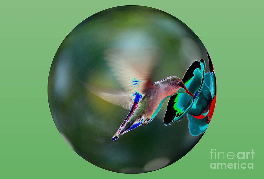 Hummingbird Photograph - A Bit of Nectar by Rick Rauzi