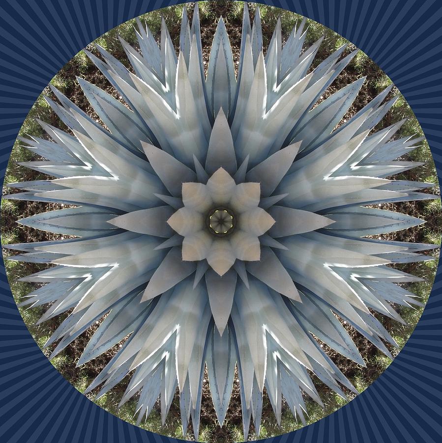 A Blue Agave Digital Art by Trina Stephenson