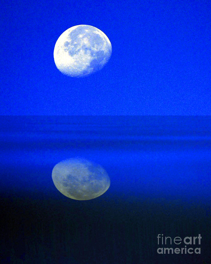 A blue moon. Photograph by Robert Kleppin Fine Art America
