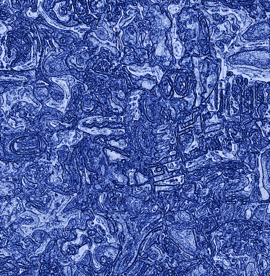 A Blue Scene Digital Art by Steve Fields