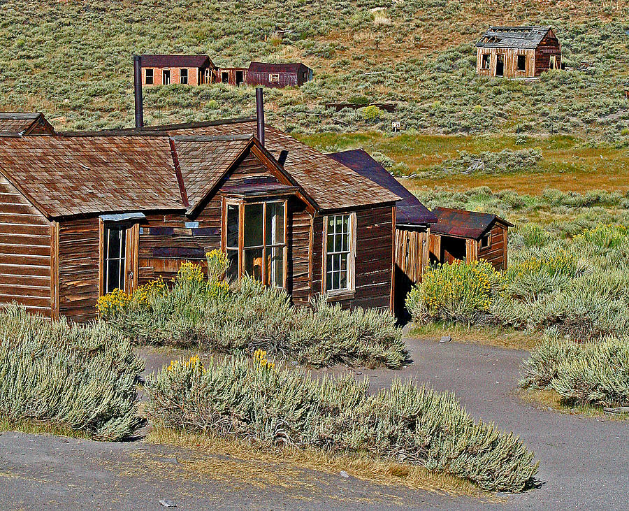 A Bodie Homestead Photograph by Joseph Coulombe