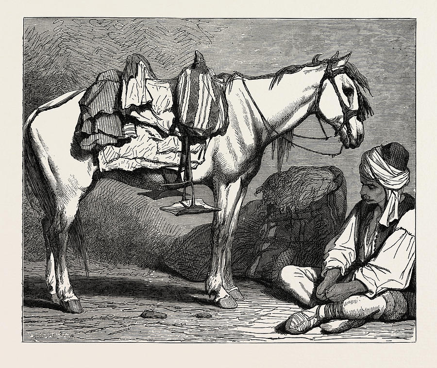 A Bosnian Peasant And His Horse Drawing by Litz Collection - Pixels