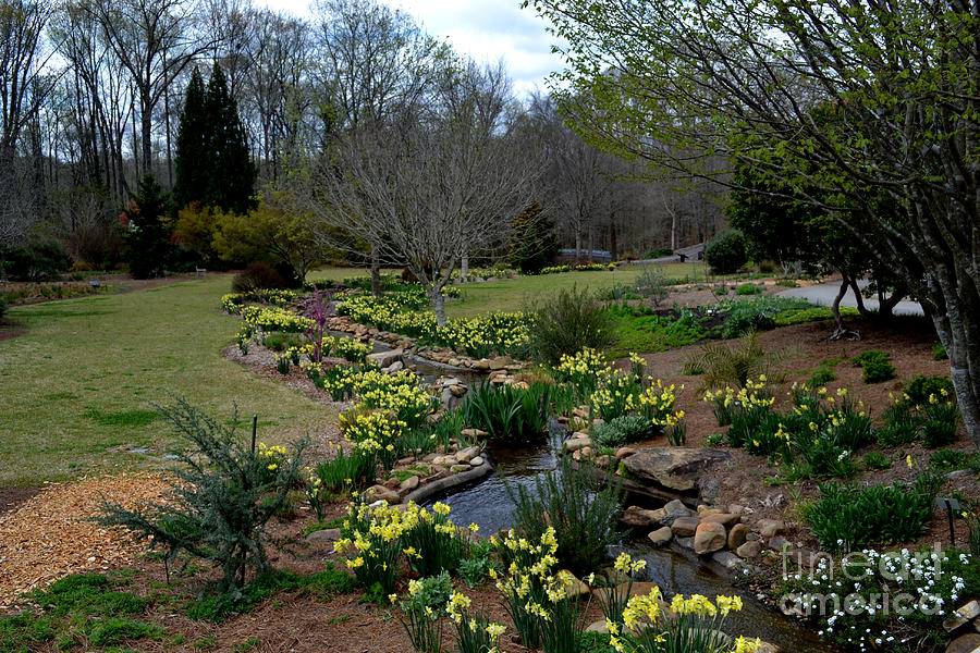 A Botanical Garden Photograph by Eva Thomas | Fine Art America