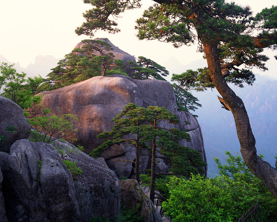 A Boulder And Tree In A Chinese Mountain Range Photograph by Rubberball