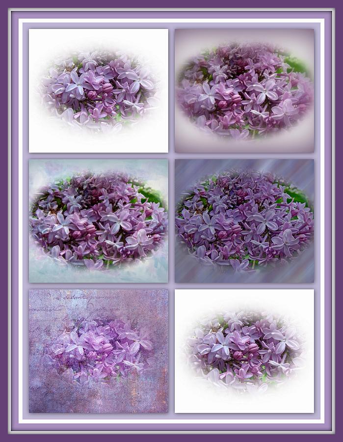 A Bouquet Of Lilacs Photograph by Carol Senske