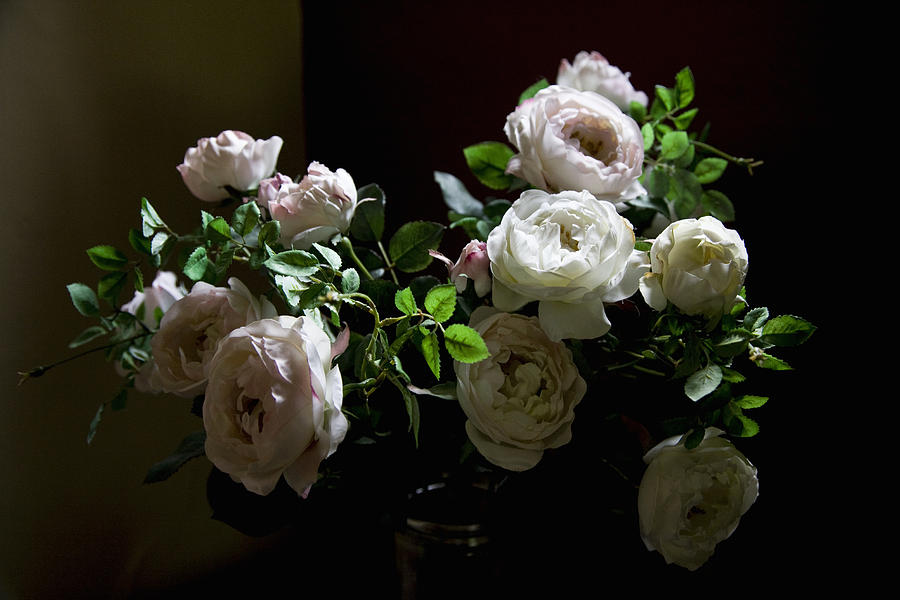 A bouquet of roses Photograph by Tobias Titz