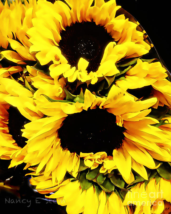 A Bouquet Of Sunshine Photograph