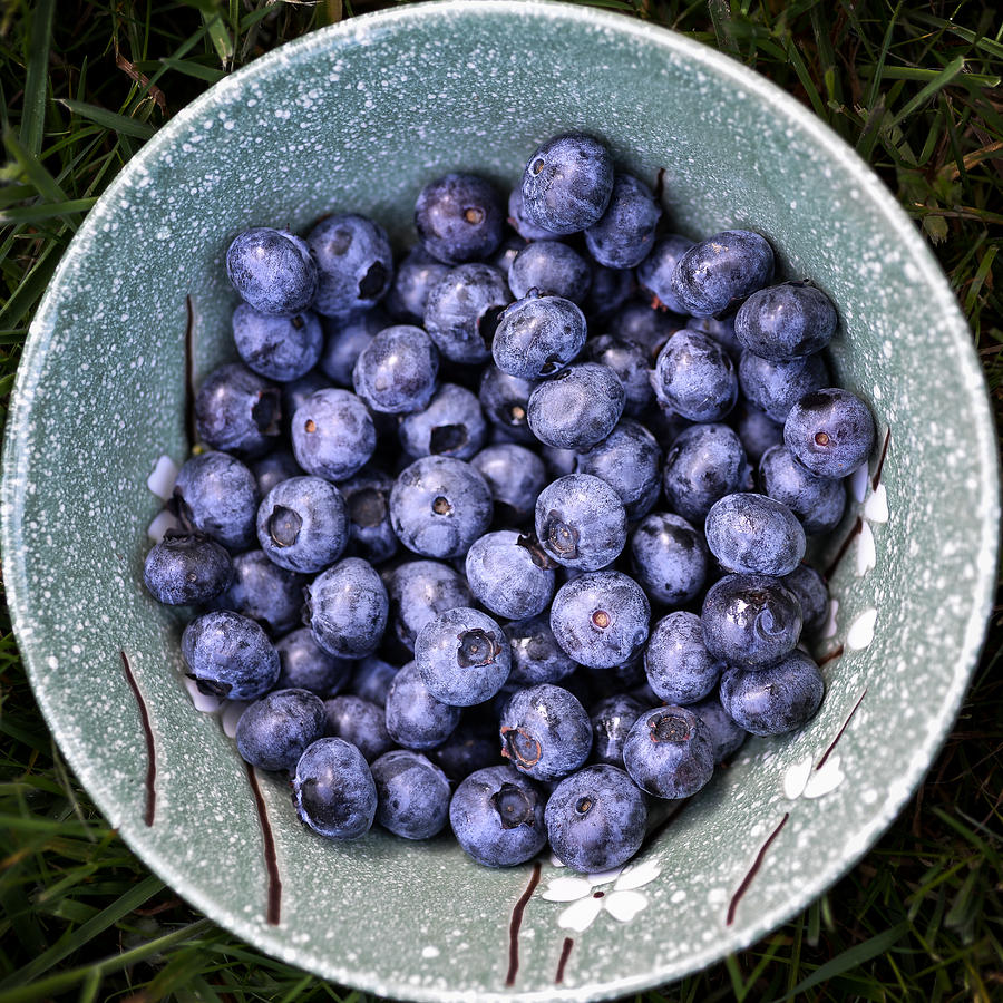 A Bowl of Blue Photograph by Ronda Broatch