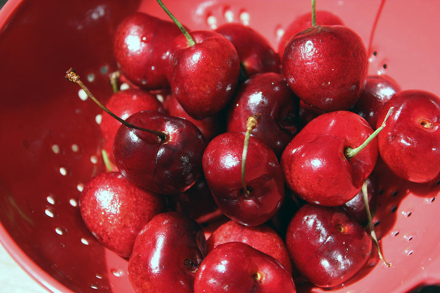 A Bowl of Cherries Photograph by Gerry Bates