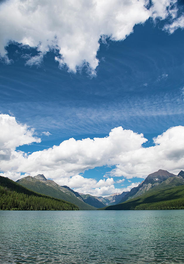 A Bowman Lake In Glacier National Park Photograph By Josh Miller 