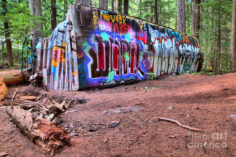 A Box Car In The Forest Photograph by Adam Jewell