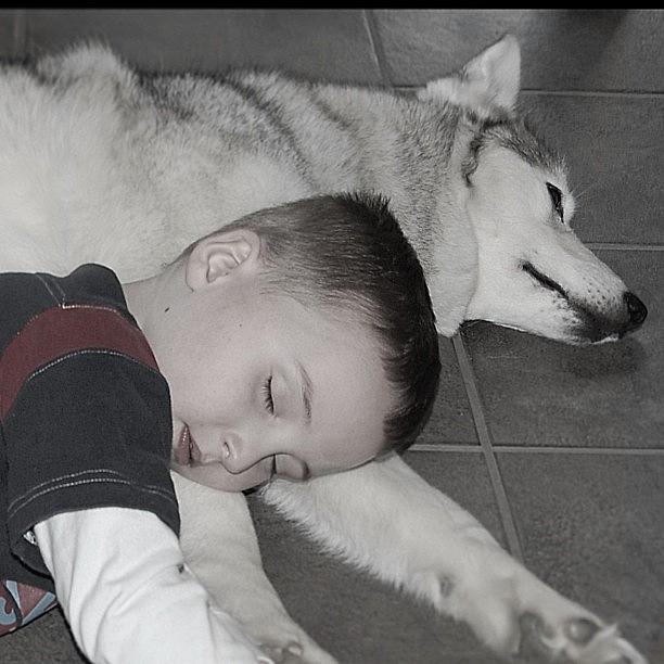 A Boy And His Dog Best Buds Forever! Photograph by Rita Frederick