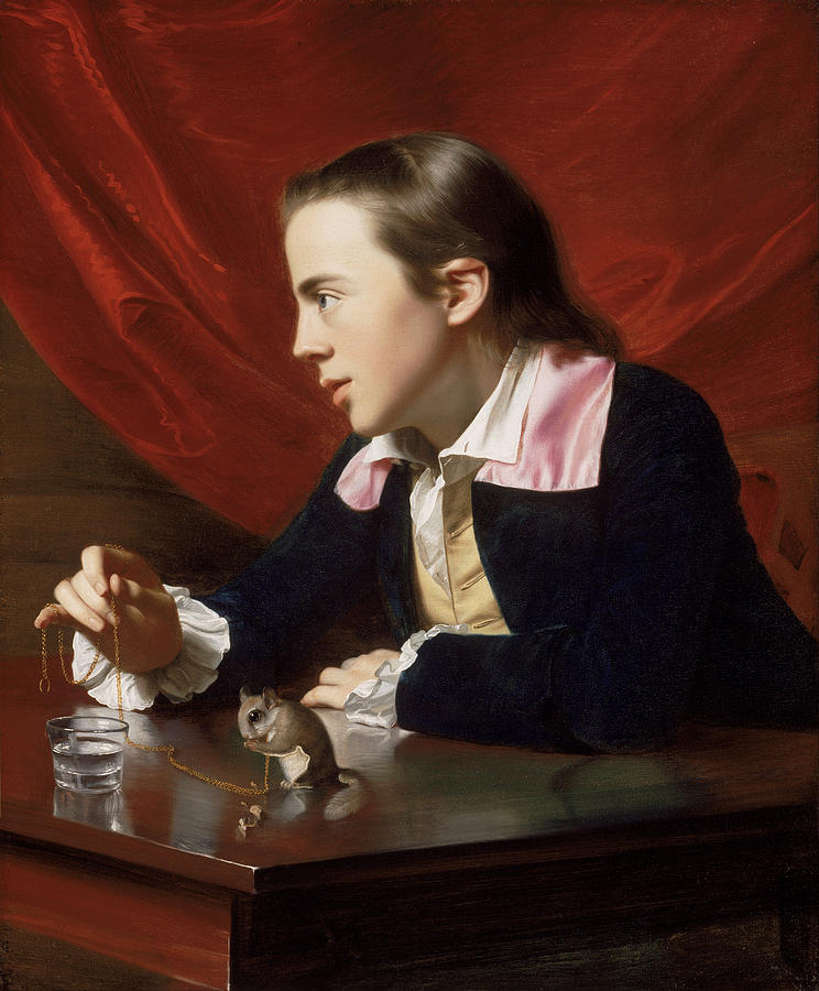 A Boy with a Flying Squirrel. Henry Pelham Painting by John Singleton Copley
