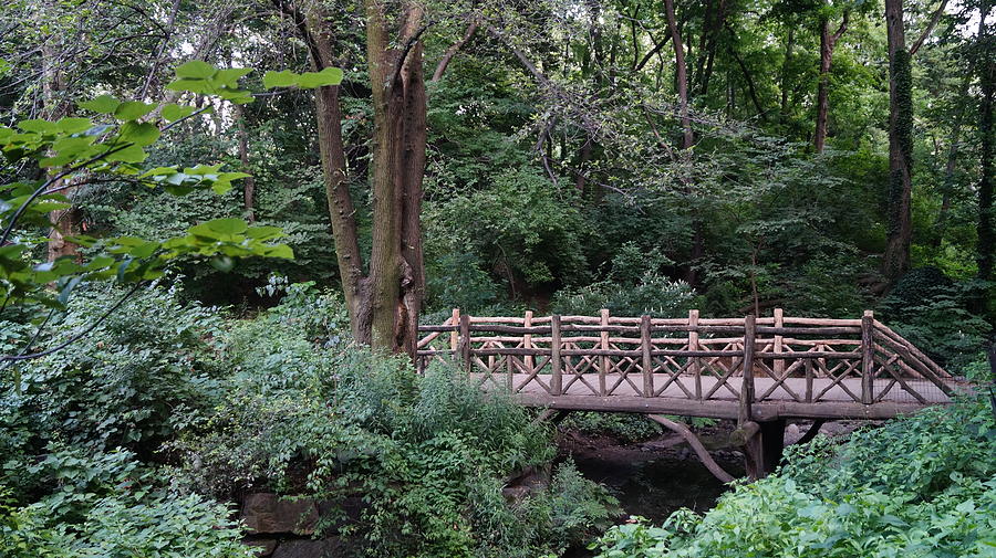 New York City Photograph - A Bridge in Central Park by John Wall