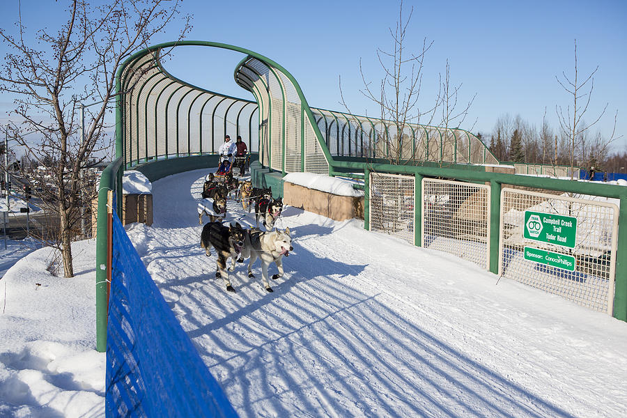Anchorage Photograph - A Bridge in the Iditarod  by Tim Grams