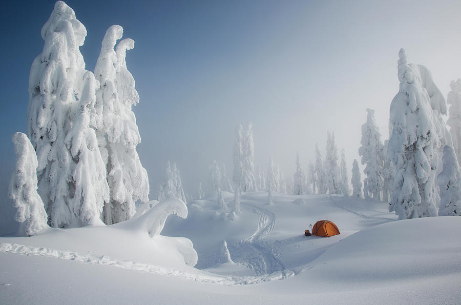 A Bright Orange Tent Among Snow Covered Photograph by Mint Images - Michael Hanson