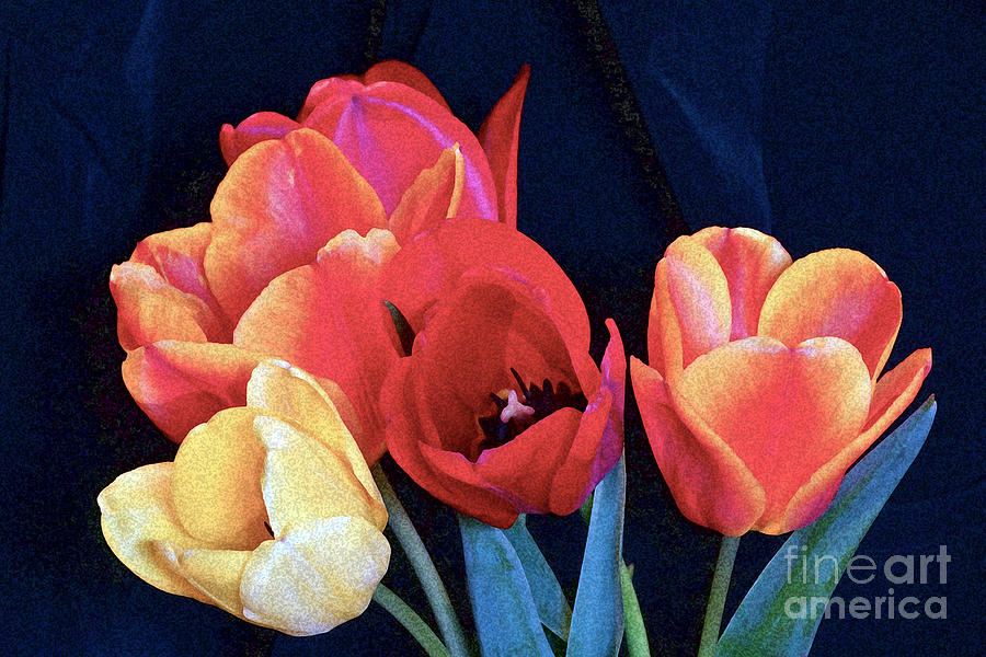A Bright Warmth Of Tulips Photograph by Byron Varvarigos