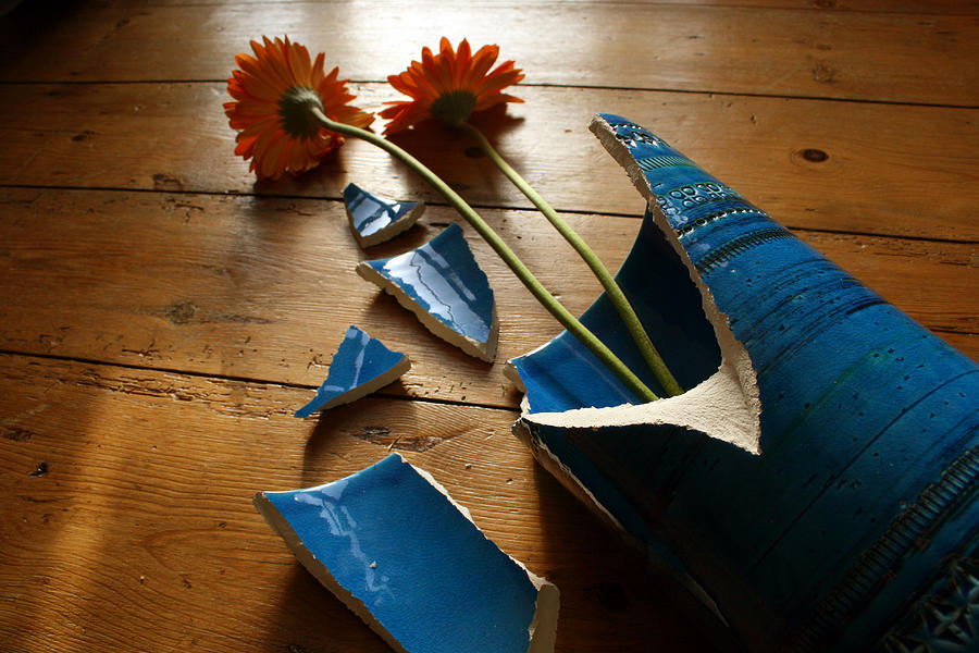 A broken vase with flowers Photograph by Sabine Davis