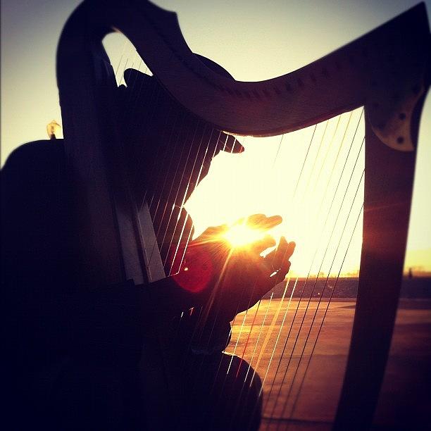 Mystical Photograph - A Brother Playin The Harp On Venice by Devaughn Hughson