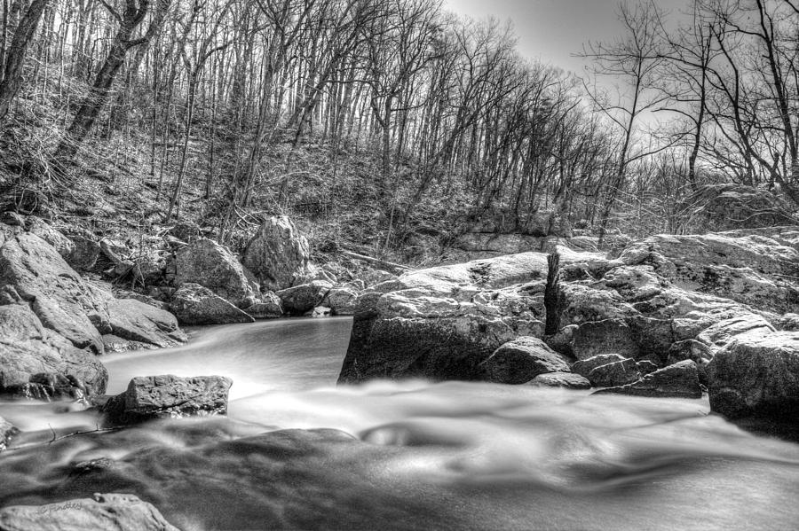 A Bumpy Road Ahead Photograph by JC Findley - Fine Art America