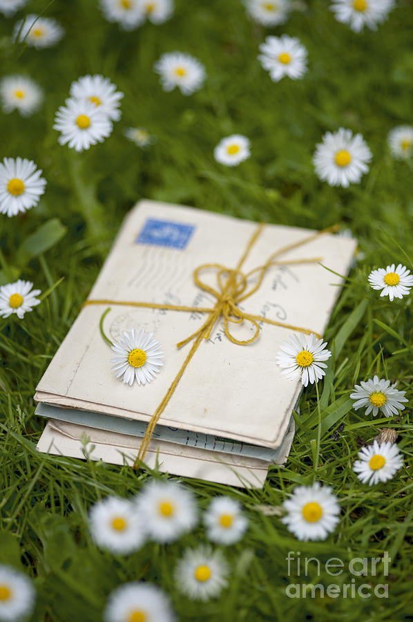 A Bundle Of Love Letters On A Lawn With Daisies Photograph by Lee Avison