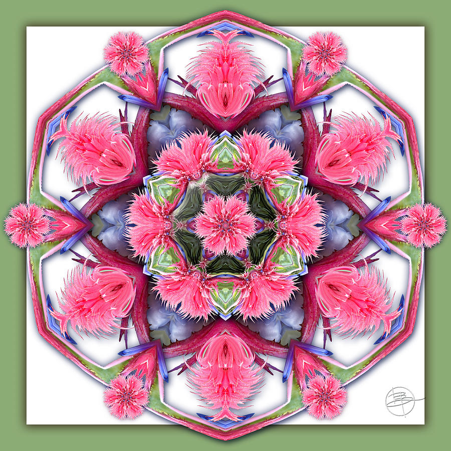 Nature Photograph - A Burst of Bromeliad by Karen Hochman Brown Nature Photograph - A Burst of Bromeliad by Karen Hochman Brown
