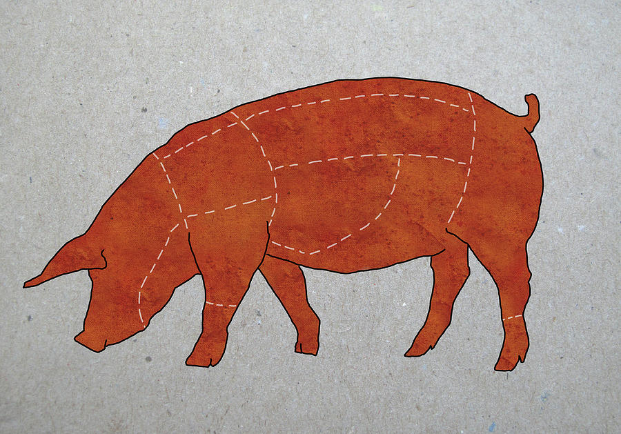 A Butchers Diagram Of A Pig Digital Art by Malte Mueller