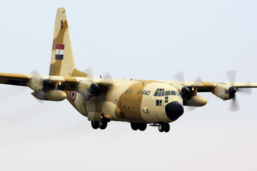 Transportation Photograph - A C-130h Hercules Of Egyptian Air Force by Artyom Anikeev