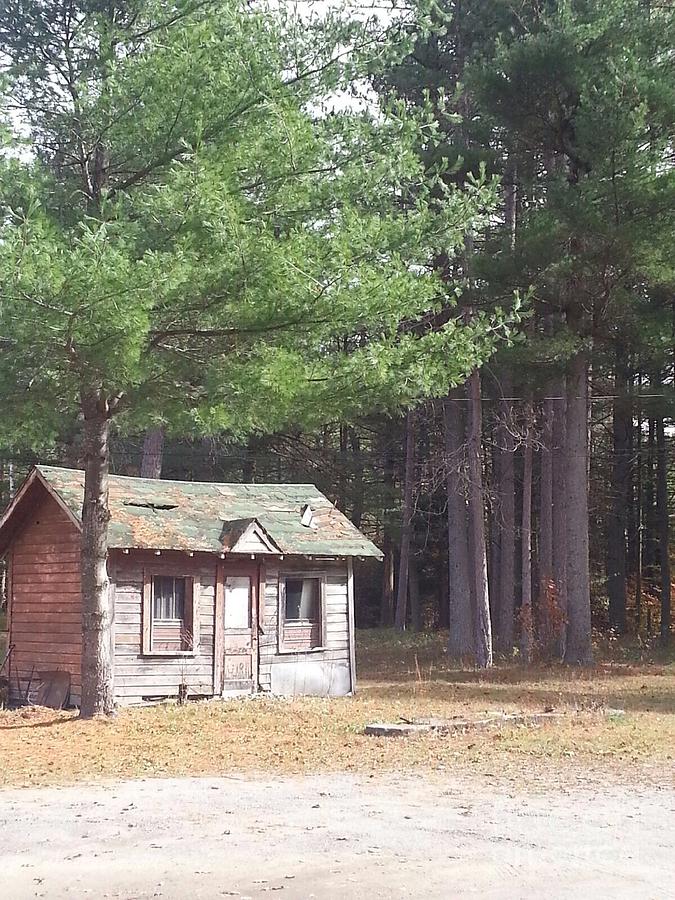 A Cabin in the Woods Photograph by Christy Gendalia