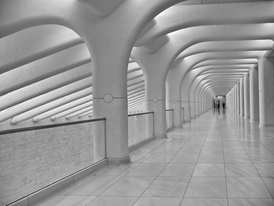 A Calatrava Walkway Photograph by Cornelis Verwaal