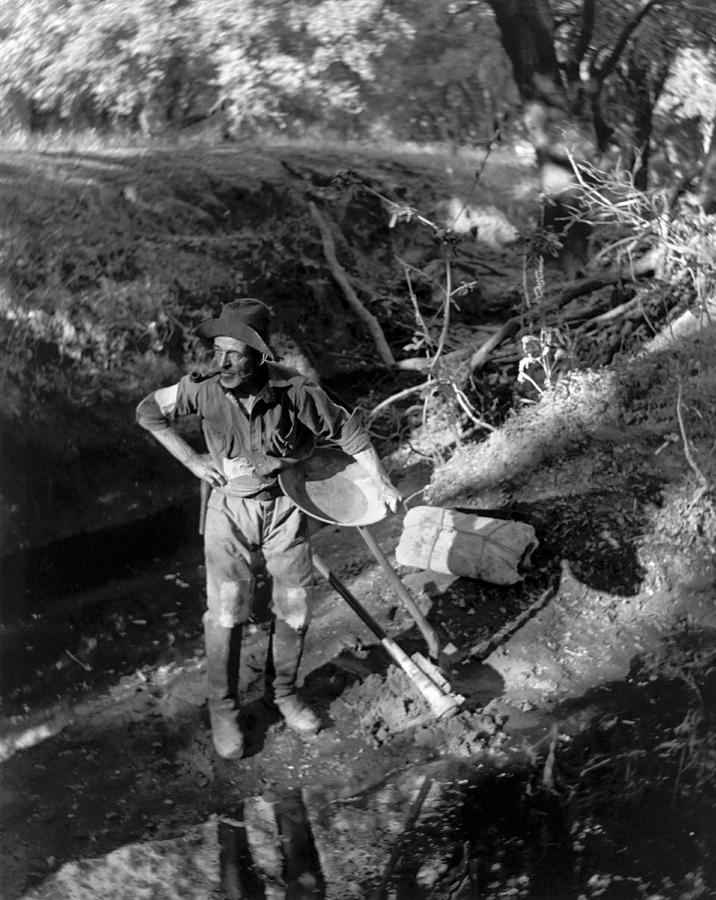 A California Gold Miner Photograph by Underwood Archives