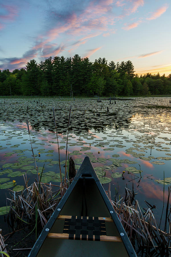 A Canoe On A Beaver Pond At Sunset Photograph by Jerry Monkman - Fine ...