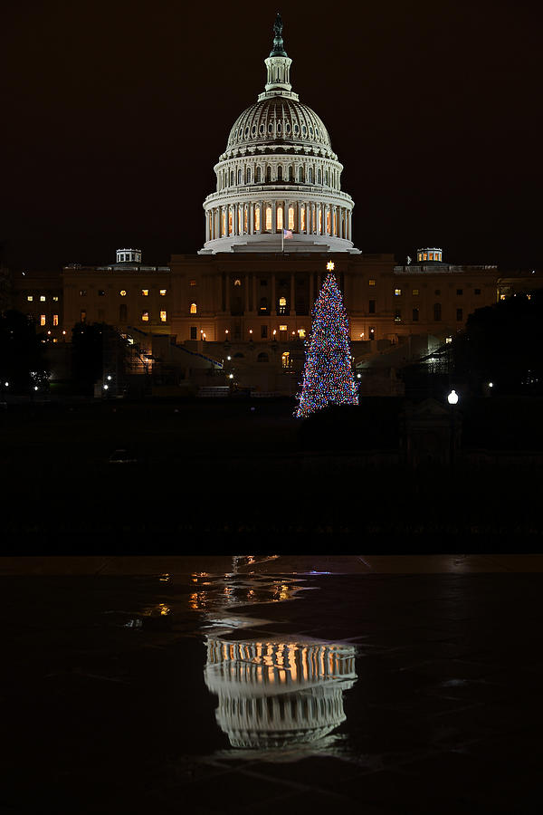 A Capitol Reflection Photograph by Metro DC Photography