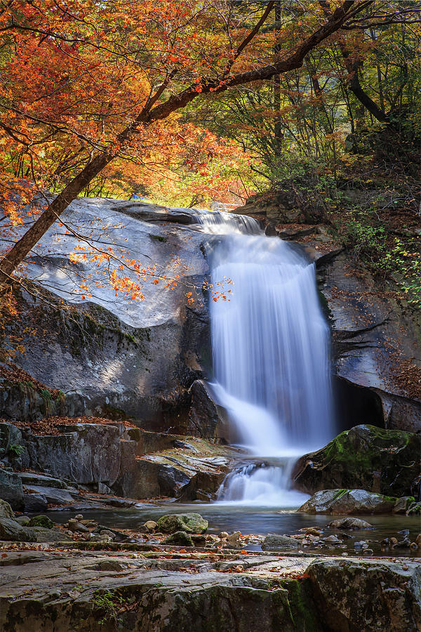 A Cascade With Autumn Foliage Photograph by Sungjin Kim