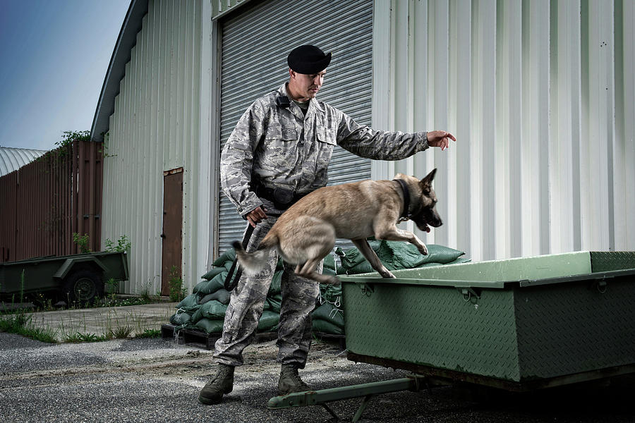 Dog Photograph - A Caucasian, Male Air Force Security by Stacy Pearsall