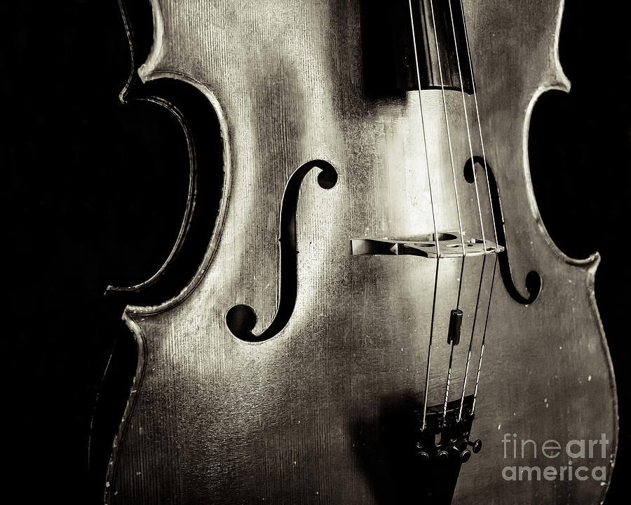 Music Photograph - A Cello Solo by Kadwell Enz
