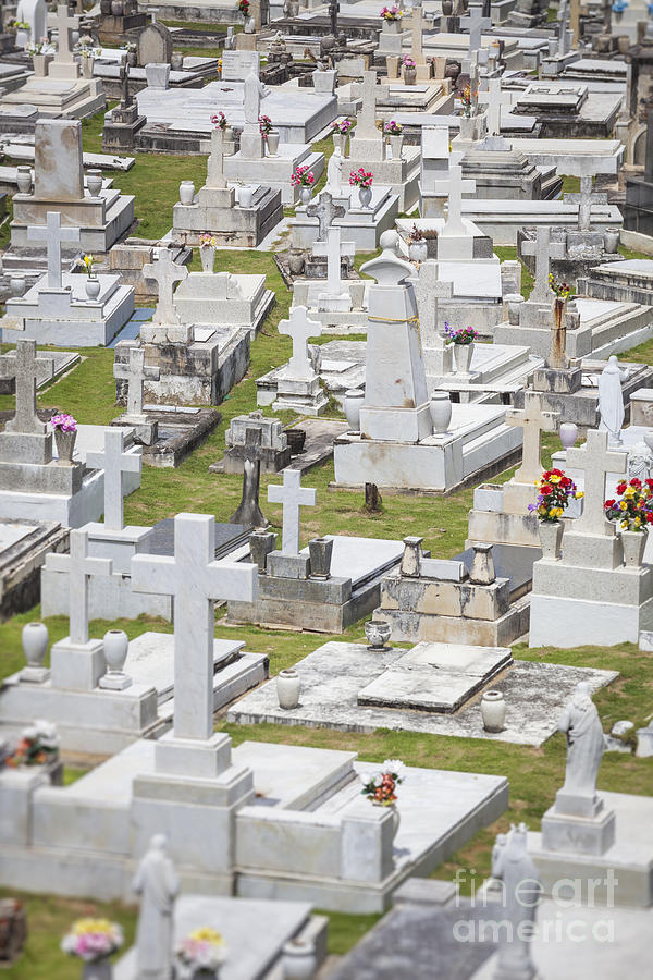 A Cemetery In Old San Juan Puerto Rico Photograph by Bryan Mullennix