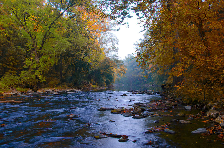 A Change of Season along the Wissahickon Creek Photograph by Bill ...