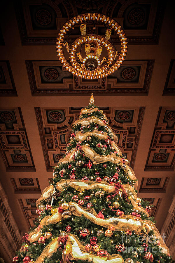 A Christmas Tree at Union Station Photograph by Lynn Sprowl
