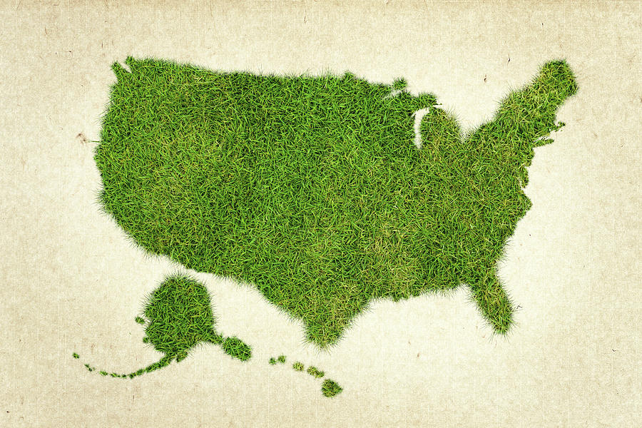 Nature Photograph - United State Grass Map by Aged Pixel