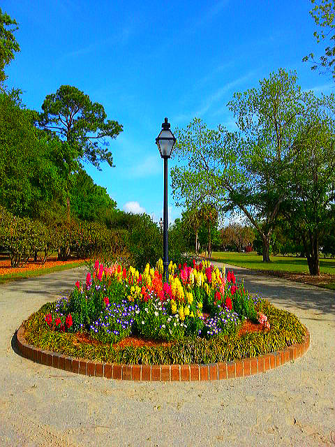 A Clear Colorful Parks View Photograph by Joetta Beauford