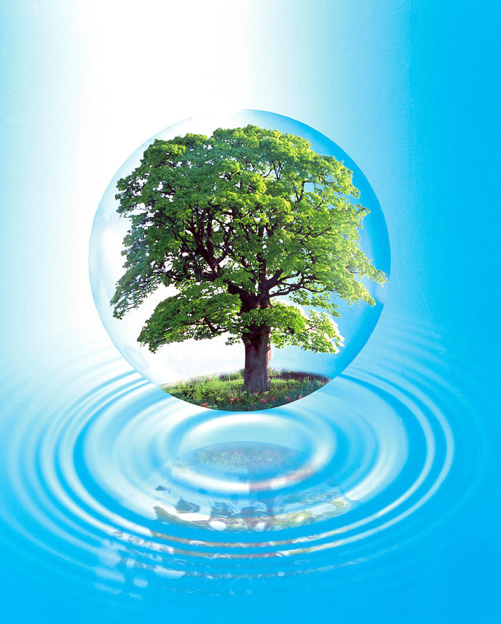 Fantasy Photograph - A Clear Sphere With A Full Tree Floats by Panoramic Images
